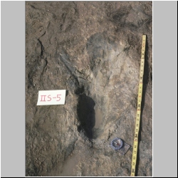 px84b-11#29 dodm.jpg